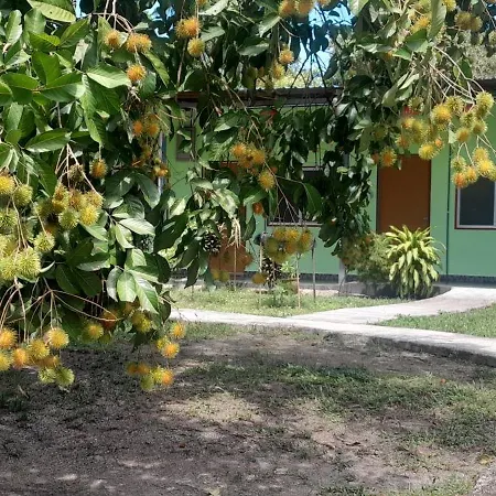 Tony'S Guesthouse At Teluk Bahang-2