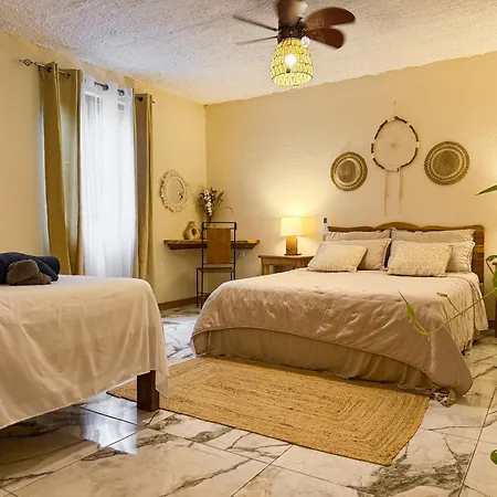 Hotel Boutique Casa Mambo-2