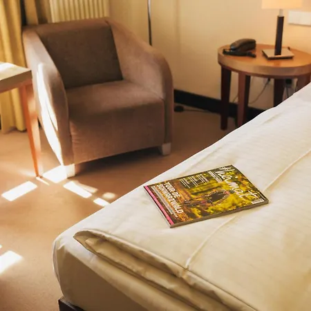 Hotel Ritter Durbach-3