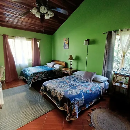 Cariari Bed & Breakfast-3