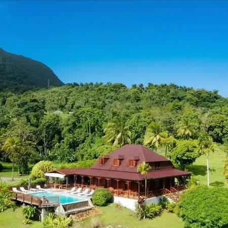 Jardin Malanga-2