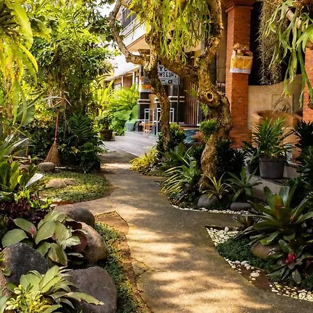 Ayu Bungalow 2-2