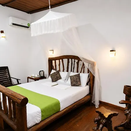 Sigiri Lion Lodge-3
