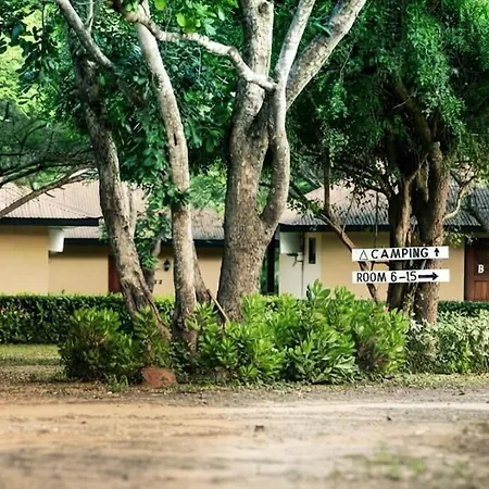 Tan-Swiss Lodge-3