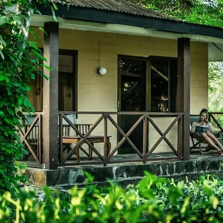 Tan-Swiss Lodge-2