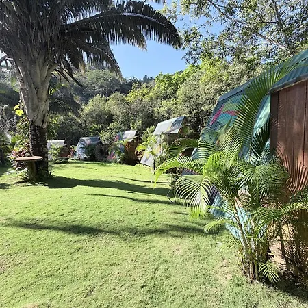 Sierra Jungla-3