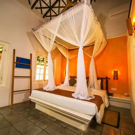 Club Villa-3