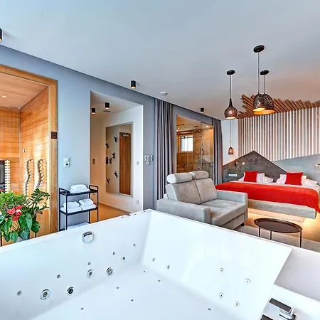 Wellness Hotel Fenix-2