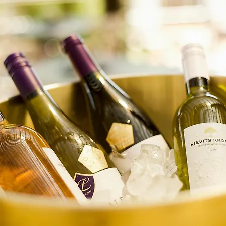 Kievits Kroon Gauteng Wine Estate-2