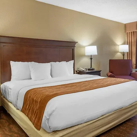 Comfort Inn At Thousand Hills-3