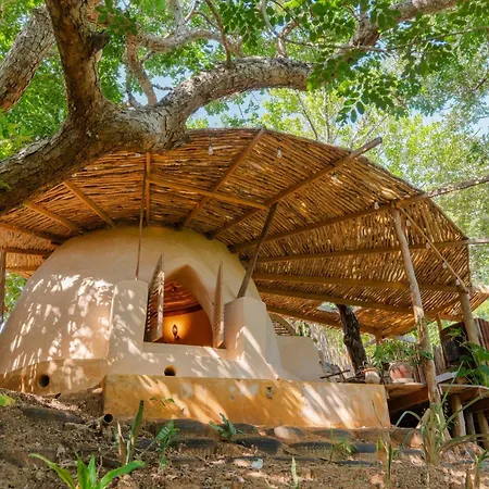 Distant Relatives Ecolodge & Backpackers-2