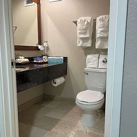Aloha Gem Studio - Sleek Kitchen, Luxe Amenities & Fast Wi-Fi-3