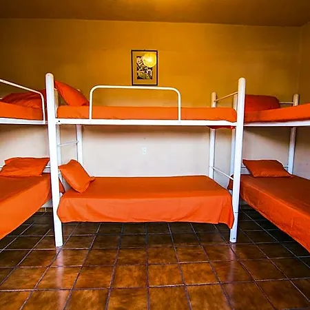 Oasis Hostel-3