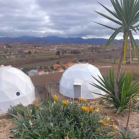 Domoss Valle-2