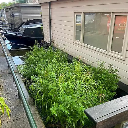 Houseboat Bonnie-2