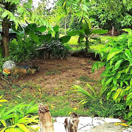 Home Sol Guesthouse-2