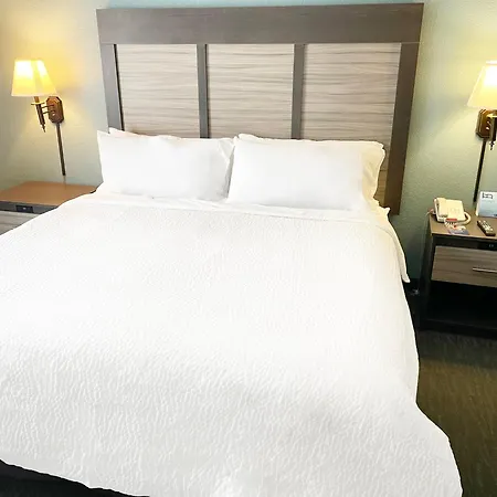 Holiday Inn Express & Suites Clermont Se - West Orlando By Ihg-2