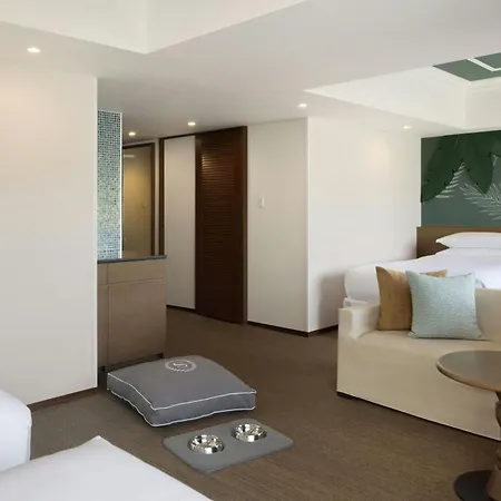 Sheraton Grande Tokyo Bay Hotel-3