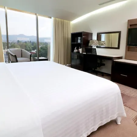 Holiday Inn Hotel & Suites Mexico Medica Sur By Ihg-3