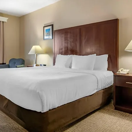 Comfort Inn & Suites Seattle North-2