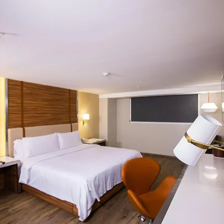 Holiday Inn Mexico Zona Centro By Ihg-2