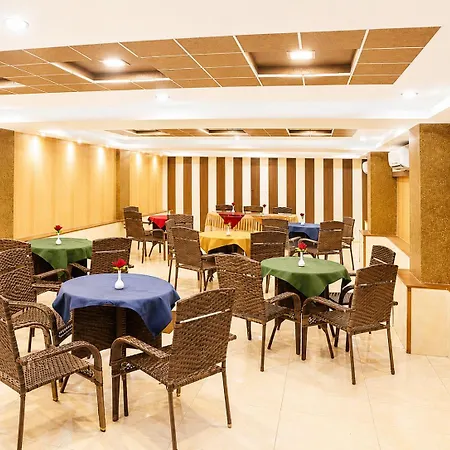 Royal Palm - Hotel Near Udaipur Railway Station-3