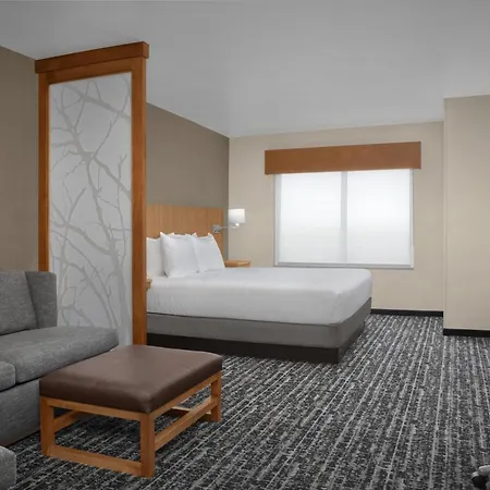 Hyatt Place Orlando Lake Buena Vista-3