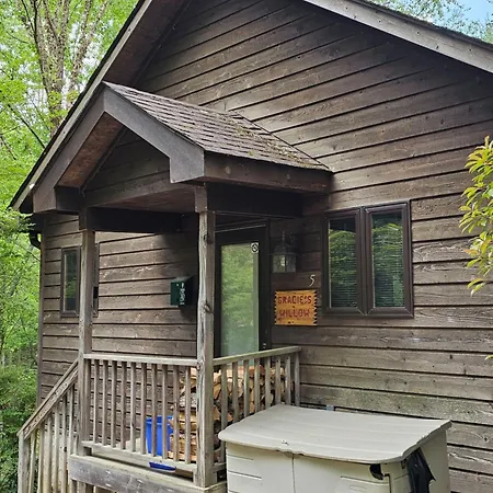Asheville Cabins Of Willow Winds-2
