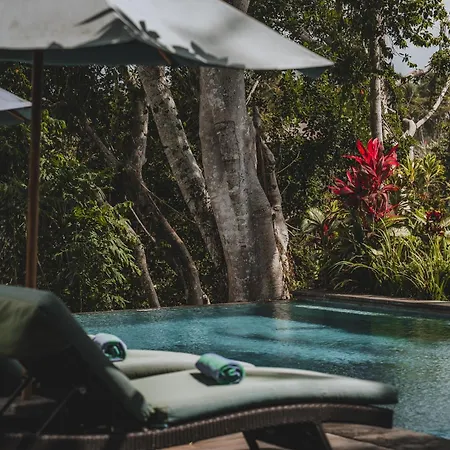 The Hidden Paradise Ubud - Chse Certified-2