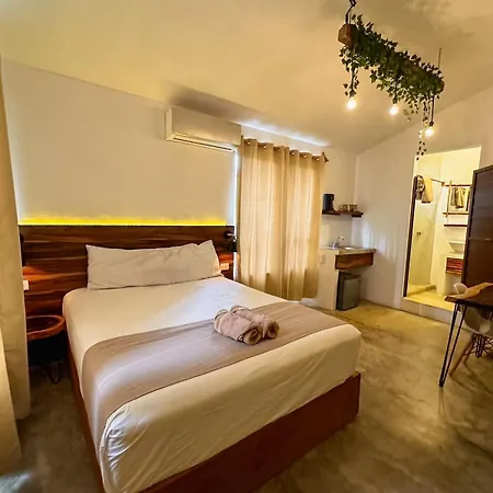 Hotel And Hostel Kab-3