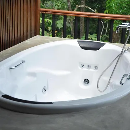 Roman Lake Ayurveda Boutique Resort-3