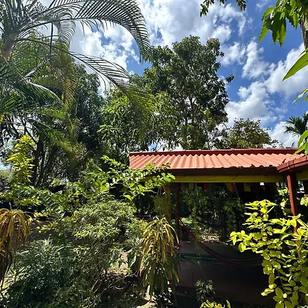 Freedom Cottage & Safari-2