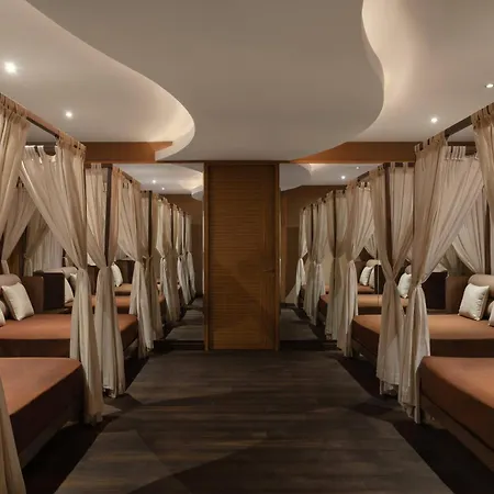 Melia Desert Palm Member Of Melia Collection-2