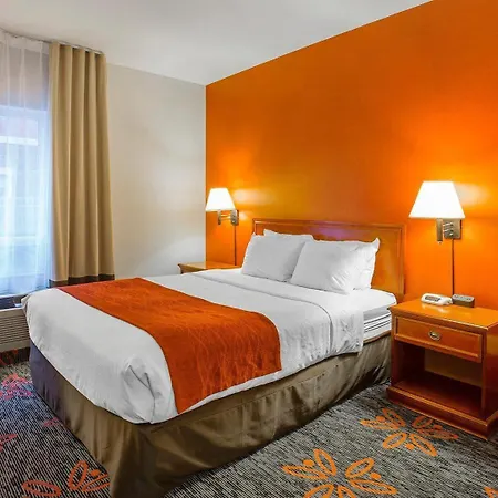 Comfort Inn & Suites Calgary - University-3