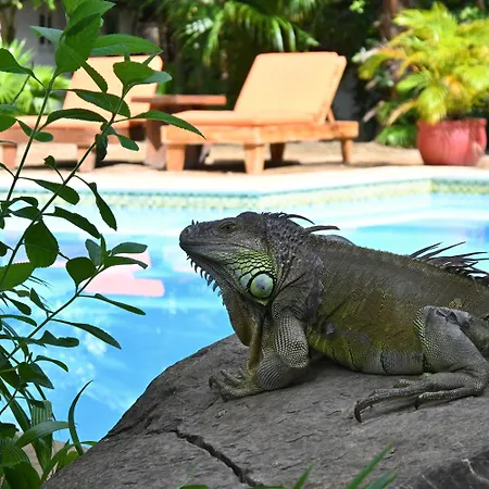 Hotel Pasatiempo-3