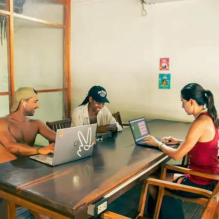 Viajero Tayrona Hostel & Ecohabs-3