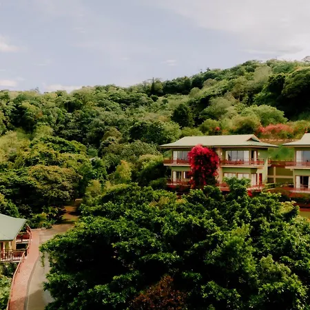 Ficus Sunset Suites-3