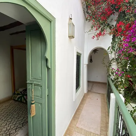 Riad Timila-2
