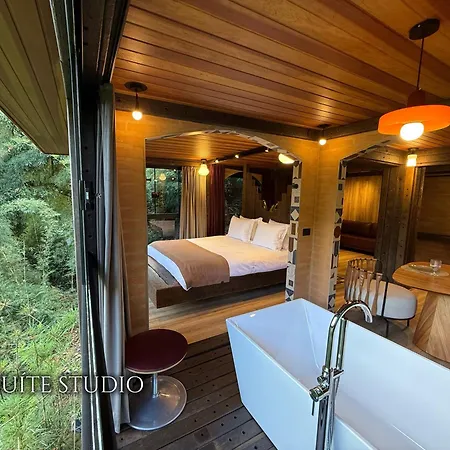 Casa Container 80 - Suites Privativas E Sofisticadas Integradas A Natureza-2