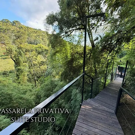 Casa Container 80 - Suites Privativas E Sofisticadas Integradas A Natureza-3