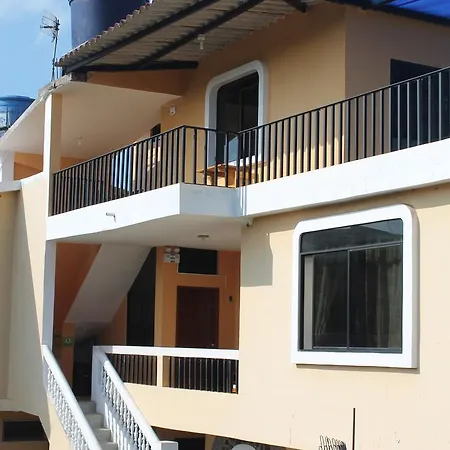 Dolphin House-3