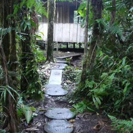 Rara Avis Rainforest Lodge-3