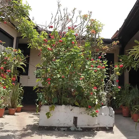 Casa Seibel-2