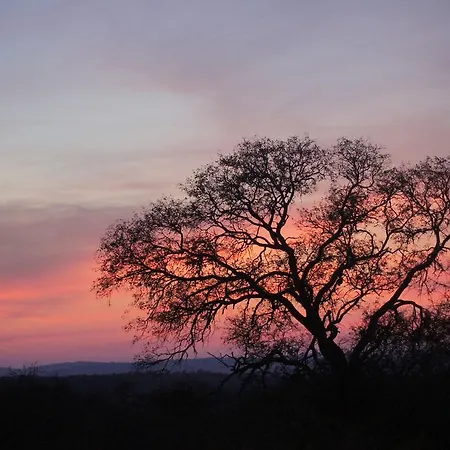 The Fever Tree Guest House-2