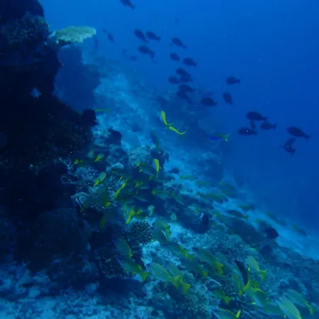 Goby Lodge Guest House-2