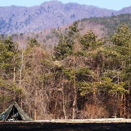 Pica Fuji Saiko Lake Campsite-3