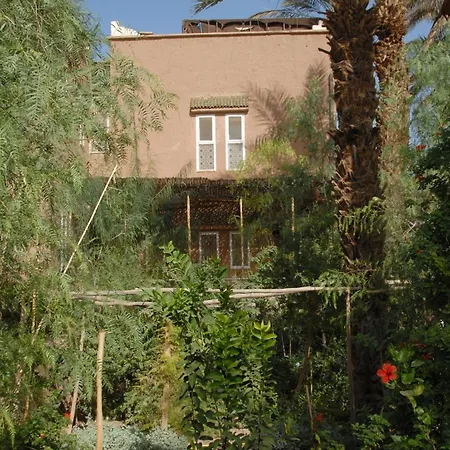 Villa Zagora Desert Retreat Restaurant-Pool-Sahara Tours-2
