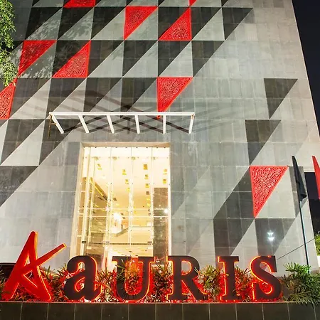 Aauris-2