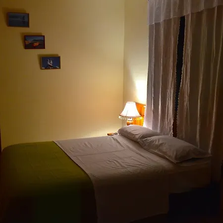 Dolphin House-2