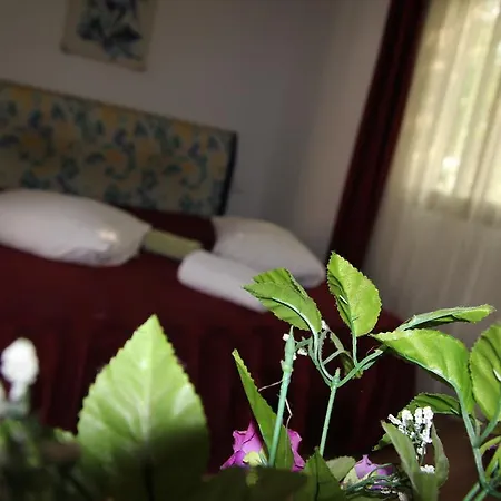 Hotel Doi Taurasi-2